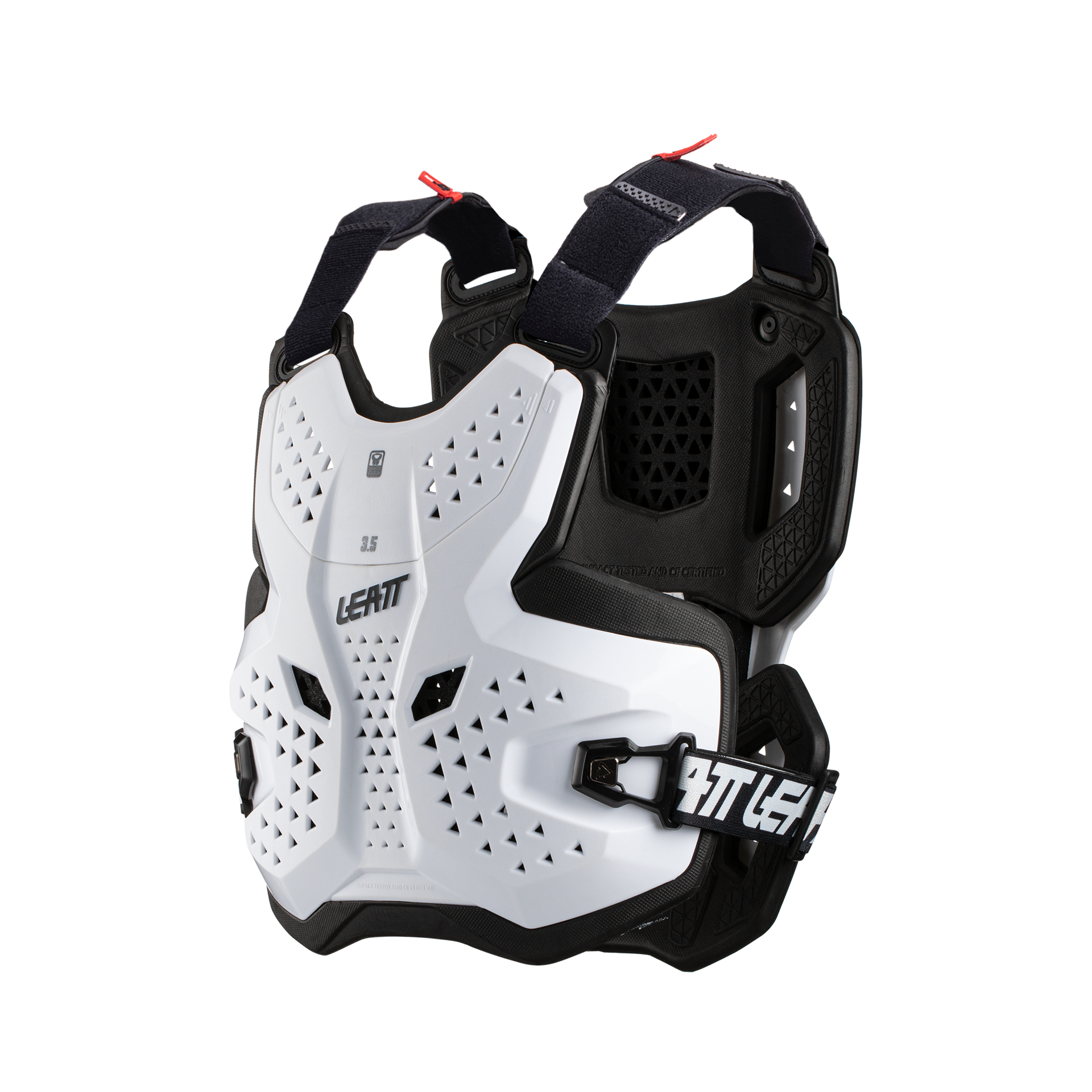 Protezione toracica 3.5