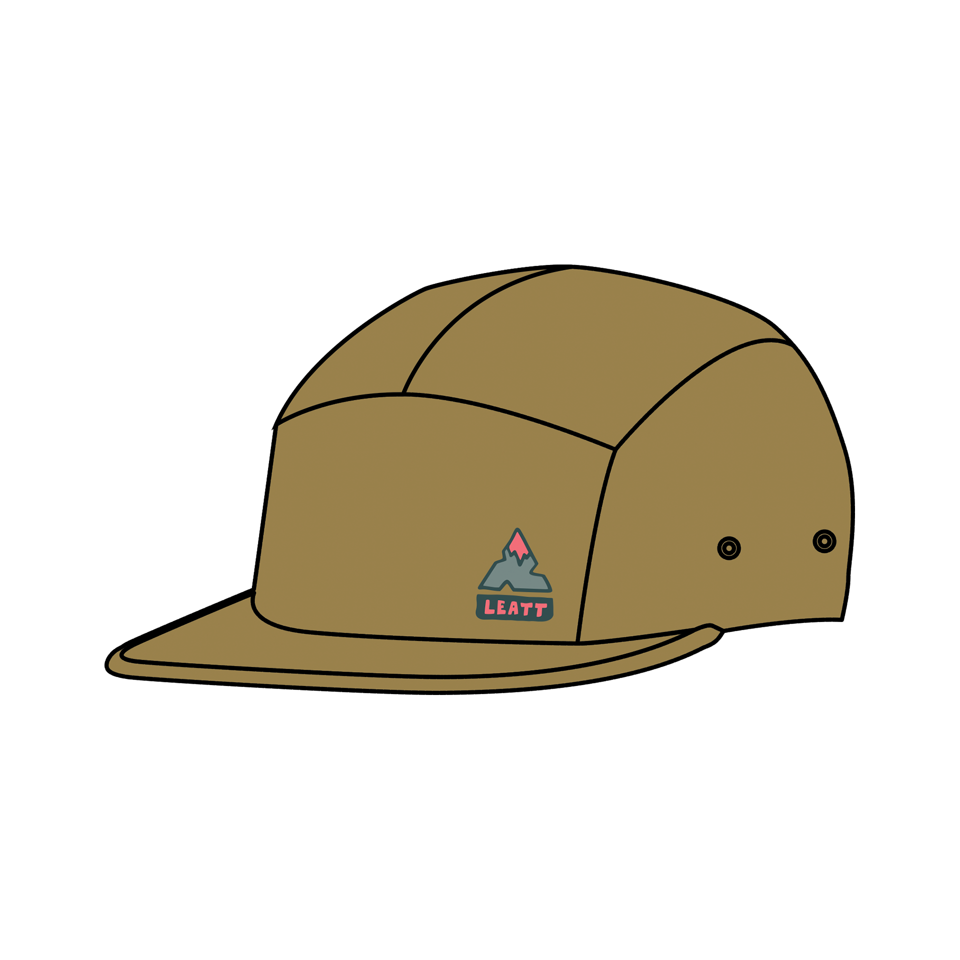 Pannello della calotta